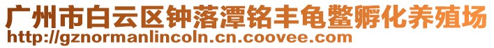 廣州市白云區鐘落潭銘豐龜鱉孵化養殖場