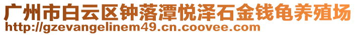 廣州市白云區鐘落潭悅澤石金錢龜養殖場