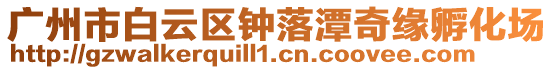廣州市白云區鐘落潭奇緣孵化場