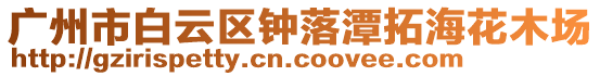 廣州市白云區(qū)鐘落潭拓海花木場
