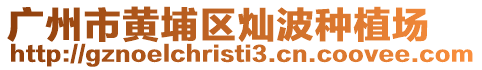 廣州市黃埔區燦波種植場