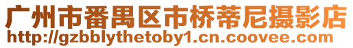 廣州市番禺區市橋蒂尼攝影店
