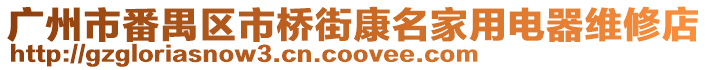 廣州市番禺區市橋街康名家用電器維修店