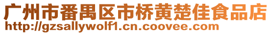 廣州市番禺區市橋黃楚佳食品店