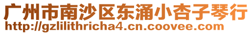 廣州市南沙區(qū)東涌小杏子琴行