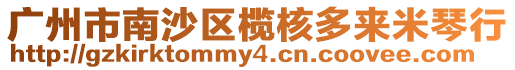 廣州市南沙區欖核多來米琴行