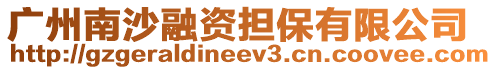 廣州南沙融資擔(dān)保有限公司
