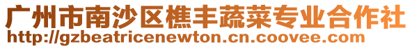 廣州市南沙區(qū)樵豐蔬菜專業(yè)合作社