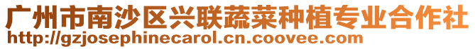 廣州市南沙區興聯蔬菜種植專業合作社