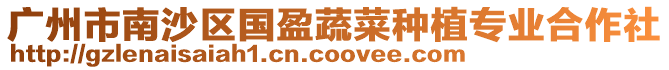廣州市南沙區國盈蔬菜種植專業合作社