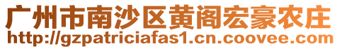 廣州市南沙區黃閣宏豪農莊