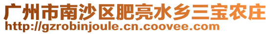 廣州市南沙區肥亮水鄉三寶農莊