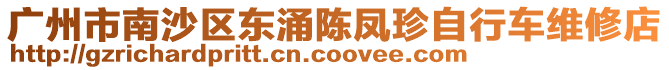 廣州市南沙區(qū)東涌陳鳳珍自行車維修店