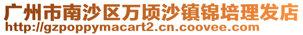 廣州市南沙區(qū)萬頃沙鎮(zhèn)錦培理發(fā)店
