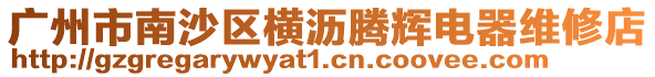 廣州市南沙區橫瀝騰輝電器維修店