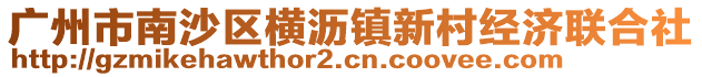 廣州市南沙區橫瀝鎮新村經濟聯合社