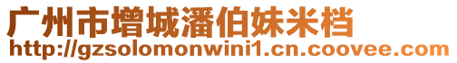廣州市增城潘伯妹米檔