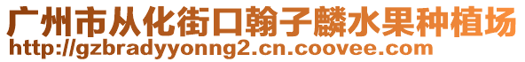 廣州市從化街口翰子麟水果種植場