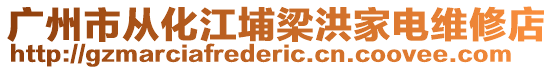 廣州市從化江埔梁洪家電維修店