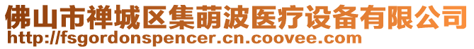 佛山市禪城區(qū)集萌波醫(yī)療設(shè)備有限公司