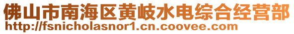 佛山市南海區(qū)黃岐水電綜合經(jīng)營部