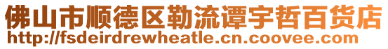 佛山市順德區(qū)勒流譚宇哲百貨店