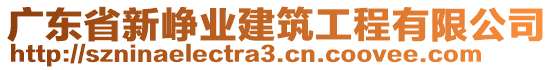 廣東省新崢業(yè)建筑工程有限公司