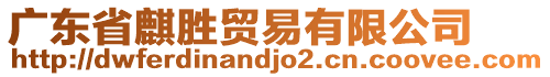 廣東省麒勝貿(mào)易有限公司