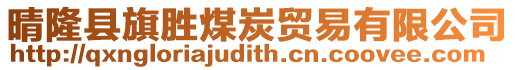 晴隆縣旗勝煤炭貿易有限公司