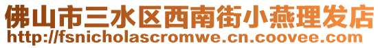 佛山市三水區(qū)西南街小燕理發(fā)店