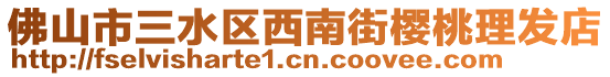 佛山市三水區(qū)西南街櫻桃理發(fā)店