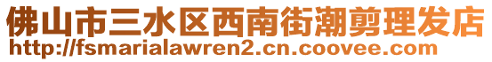 佛山市三水區(qū)西南街潮剪理發(fā)店