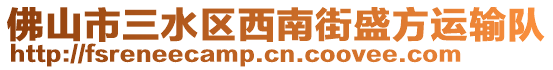 佛山市三水區(qū)西南街盛方運(yùn)輸隊(duì)