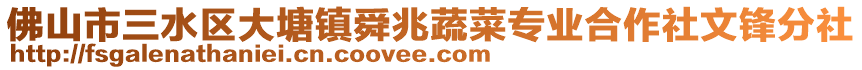 佛山市三水區大塘鎮舜兆蔬菜專業合作社文鋒分社