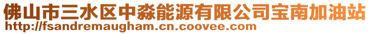 佛山市三水區中淼能源有限公司寶南加油站