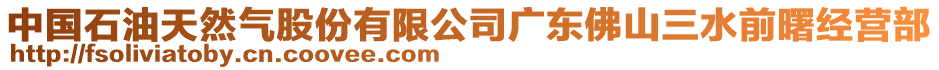 中國石油天然氣股份有限公司廣東佛山三水前曙經營部