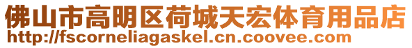 佛山市高明區(qū)荷城天宏體育用品店