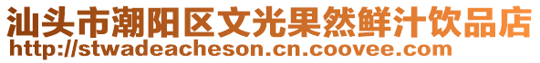 汕頭市潮陽區(qū)文光果然鮮汁飲品店