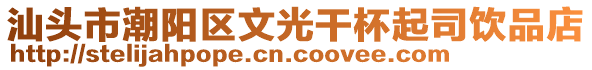 汕頭市潮陽區(qū)文光干杯起司飲品店