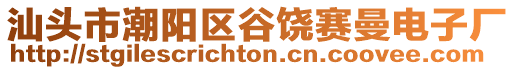 汕頭市潮陽區(qū)谷饒賽曼電子廠