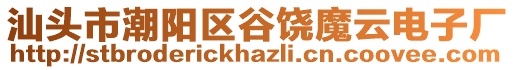 汕頭市潮陽區谷饒魔云電子廠