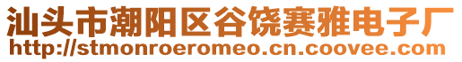 汕頭市潮陽區谷饒賽雅電子廠