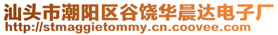 汕頭市潮陽區(qū)谷饒華晨達電子廠
