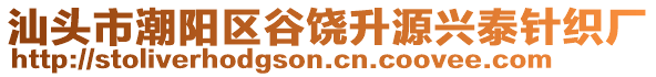 汕頭市潮陽區(qū)谷饒升源興泰針織廠