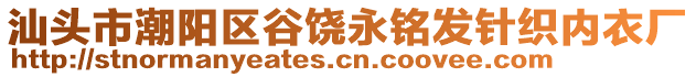 汕頭市潮陽區(qū)谷饒永銘發(fā)針織內(nèi)衣廠