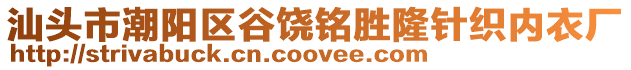 汕頭市潮陽(yáng)區(qū)谷饒銘勝隆針織內(nèi)衣廠