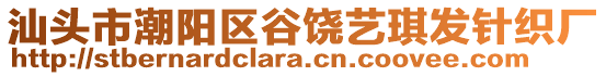 汕頭市潮陽(yáng)區(qū)谷饒藝琪發(fā)針織廠