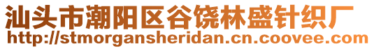 汕頭市潮陽區(qū)谷饒林盛針織廠