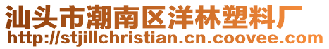 汕頭市潮南區(qū)洋林塑料廠