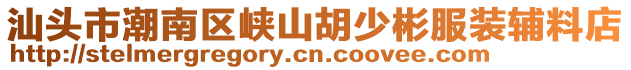 汕頭市潮南區(qū)峽山胡少彬服裝輔料店